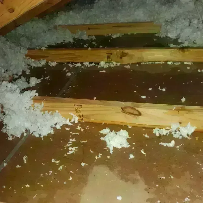 Attic Water Damage in Zeigler, IL