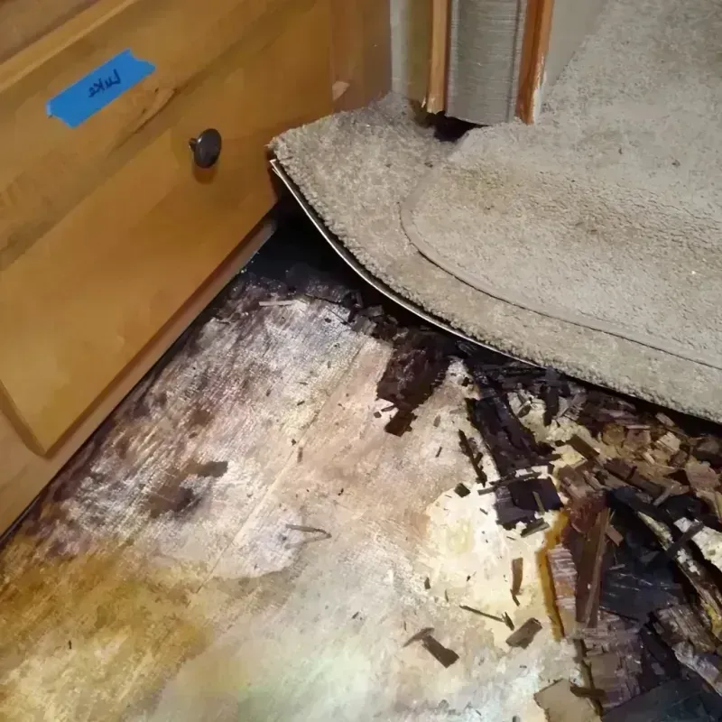 Best Wood Floor Water Damage Service in Zeigler, IL